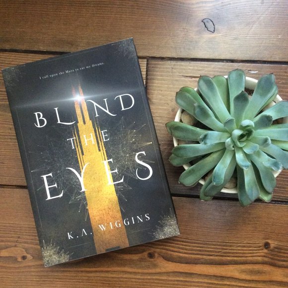 Signed Special Edition Hardcover: BLIND THE EYES (Threads of Dreams, 1) YA UF - Picture 1 of 2